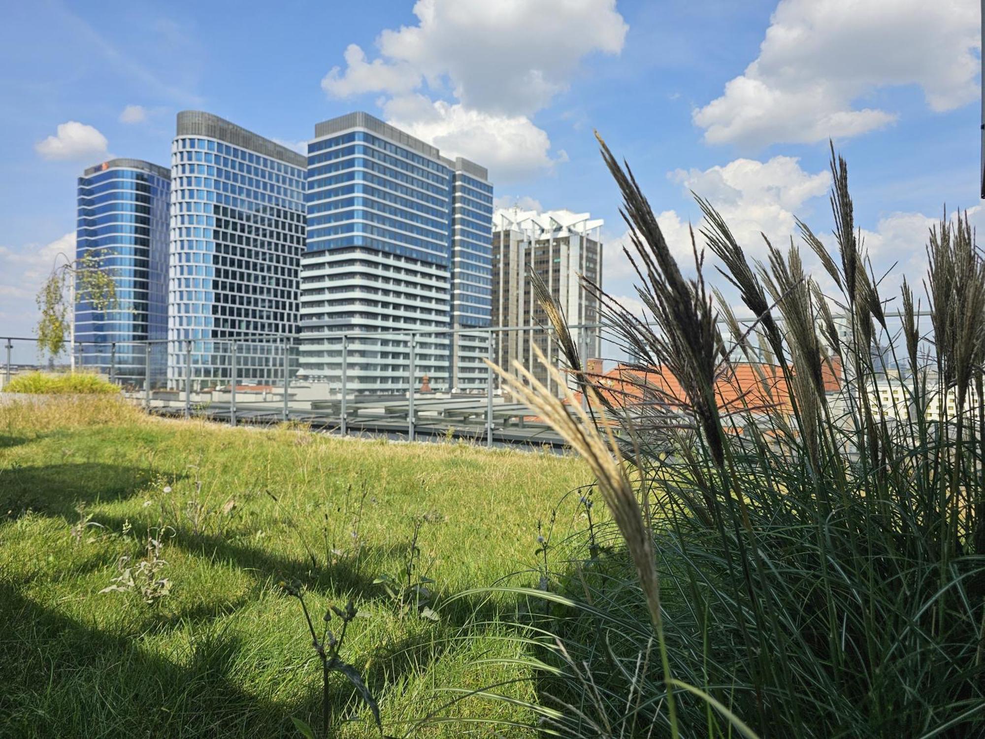 Urban Premium, Opolska 10 No 69, Free Garage, Self Check-in Leilighet Katowice